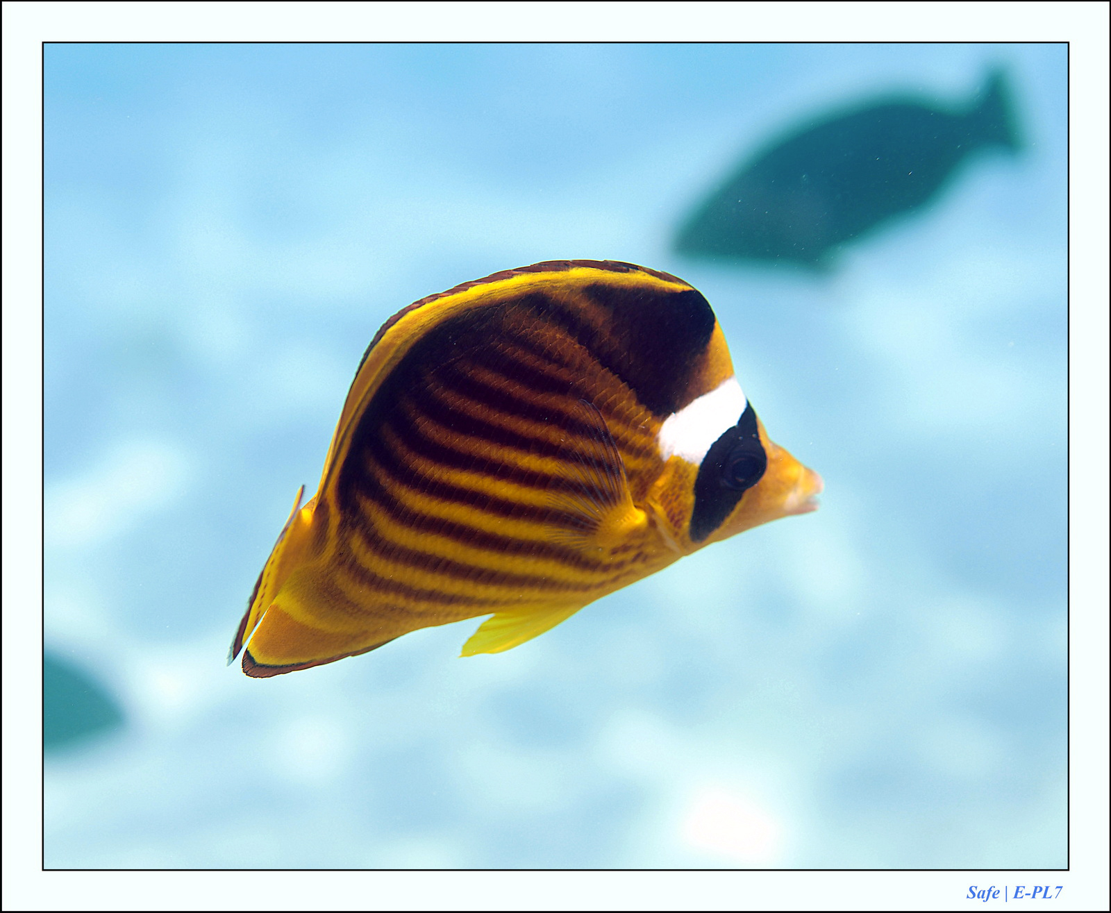 Hurghada - Juillet 2021 - 105